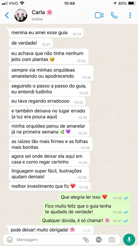 Depoimento WhatsApp 1