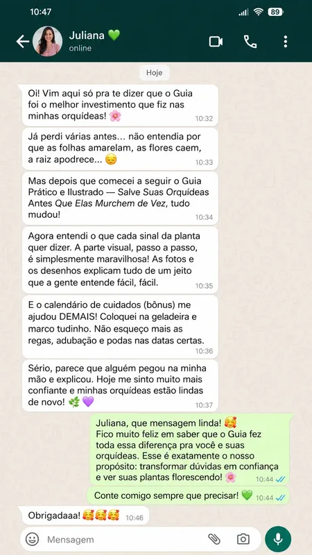 Depoimento WhatsApp 2